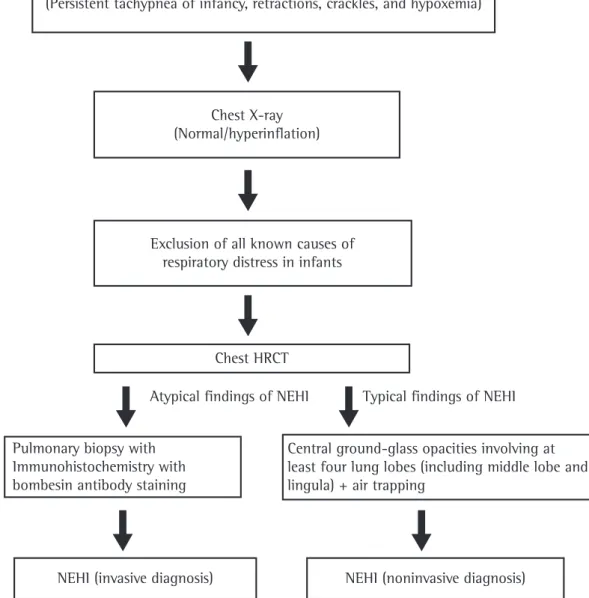 Figure 3 - Algorithm for the diagnosis of neuroendocrine cell hyperplasia of infancy (NEHI)