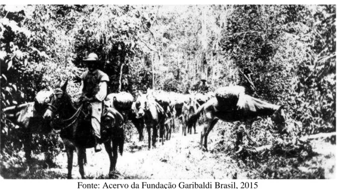 Figura 3: Varadouro usado para transporte de borracha em tropa de burros, 1906 