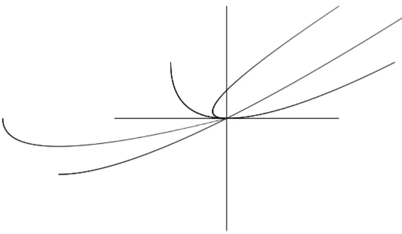 Figura 5.4: Espa¸co de fase da aplica¸c˜ao P 1 Q2 com d = 0.5