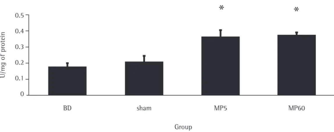 Figure 1 - Oxidative stress and brain death. There was a significant increase in lipid peroxidation using the  thiobarbituric acid reactive substance method in the groups that received methylprednisolone at 5 and 60 min  after brain death (MP5 and MP60, re