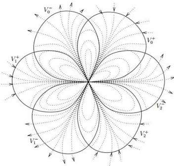 Figura 1.1: Flor de 6 p´etalas, ilustrando as ´orbitas para um difeomorfismo tangente `a identidade com multiplicidade 4