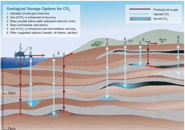 Fig.  3  illustrates  the  behaviour  of  CO 2   with  depth,  increasing  the  density  and  reducing  the  reservoir  volume  required  for  storage