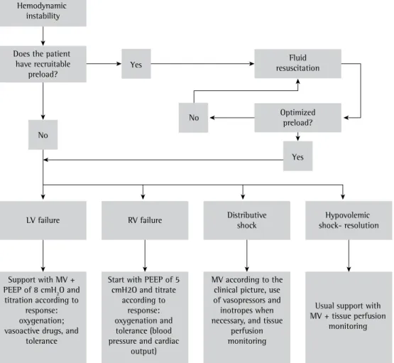 Figure 2 - Hemodynamic management algorithm in mechanically ventilated patients. LV: left ventricular; 