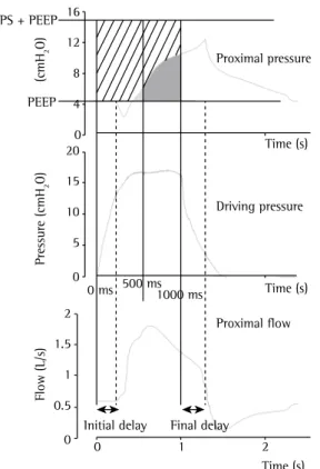 Figure 1 - Representation of the variables measured. 