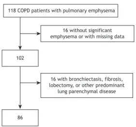 Figure 1. Flowchart for the selection of the participating  patients.