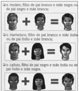 Figura 12 – Representação  esquemática da origem dos  mestiços no Brasil Colônia