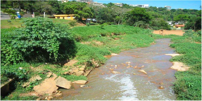 Figura 12 - Barramento a  montante da cachoeira na subbacia B que seria uma importante  zona de  amortecimento do curso d’água