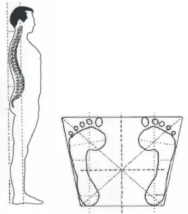 Figura 2 – Figura da postura normal em perfil (FONSECA M.P.M., 2005, 2007, 2008,  2010; BRICOT, 2001)