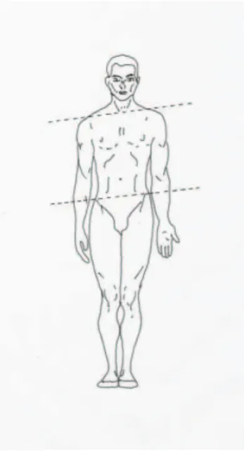 Figura  9  –  Básculas  paralelas  de  ombros  e  quadril  (FONSECA  M.P.M.,  2005,  2007,  2008, 2010; BRICOT, 2001)