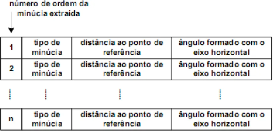 Figura 45 : Estrutura de dados do template biométrico gerado. 