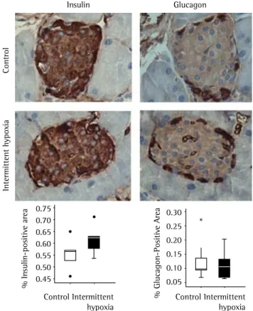Figure 2 - Immunohistochemical staining for insulin and glucagon  (magnification, ×400) with box plots of the relative area of the  islet occupied by β-cells and α-cells