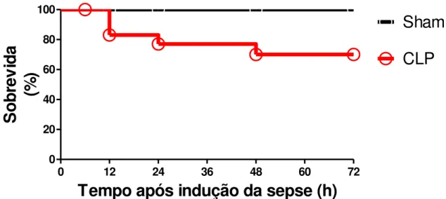 Figura  4.  Curva  de  sobrevida  dos  animais  submetidos  à  cirurgia  de  indução  de 