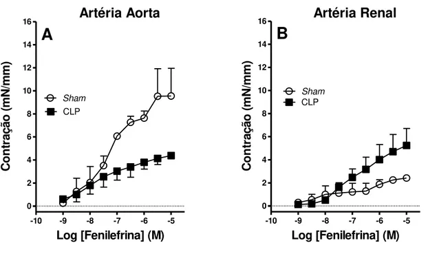 Figura  8.  Contratilidade  das  artérias  aorta  (A)  e  renal  (B)  de  ratos  com  sepse  
