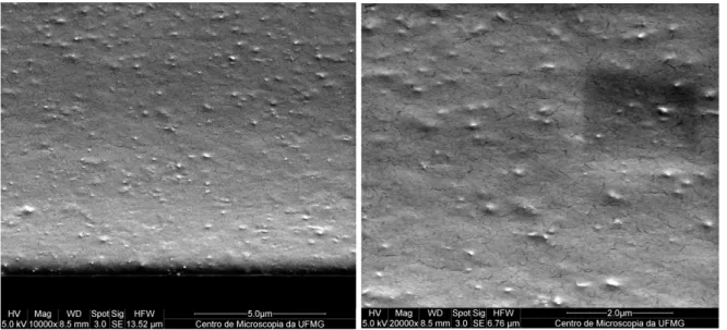 Figura 48: Imagens por MEV de nanocompósitos QUIS/MWCNT-COOH (0,5%) 