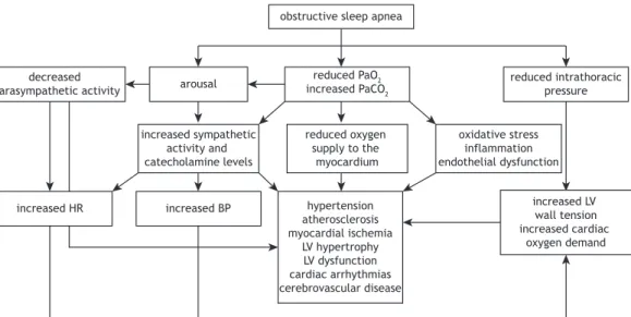 Figure 1. Pathophysiology of the effects of obstructive sleep apnea on the cardiovascular system