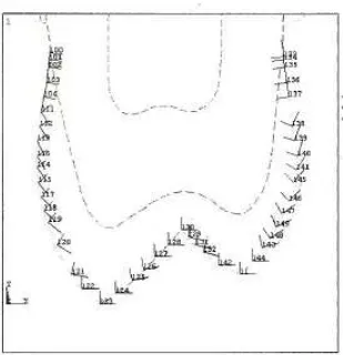 FIGURA 12- Orientação ortotrópica dos prismas de esmalte.                                     Fonte: Las Casas et al., 2003, p.67