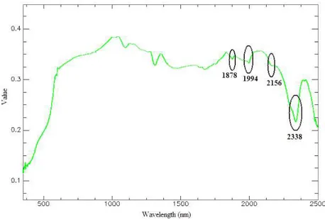 Figura 11. Espectros de solo originais obtidos via Espectrorradiômetro. 