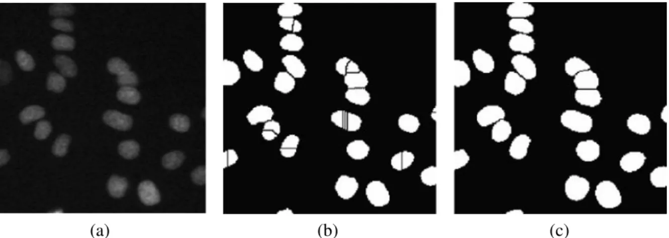 Figure 3.3 Image segmentation by watershed method. a) Original image; b) segmentation result using the classical watershed; c) segmentation result by using marker-controlled watershed [96].