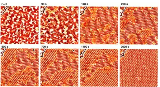 Figura 2: Crescimento de um aglomerado de mon´oxido de carbono em uma superf´ıcie Pt(111)