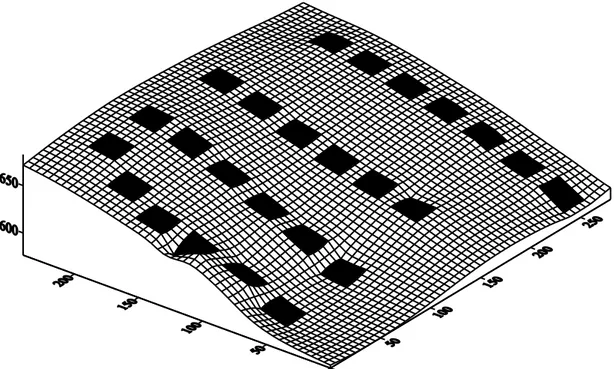 Figura  6.  Grade  de  superfície  do  fragmento  florestal  Wilson  Resende  (WR)  denominado  pequeno  isolado,  Gonçalves,  MG,  mostrando  a  topografia  do  local  de  amostragem e distribuição das 25 parcelas
