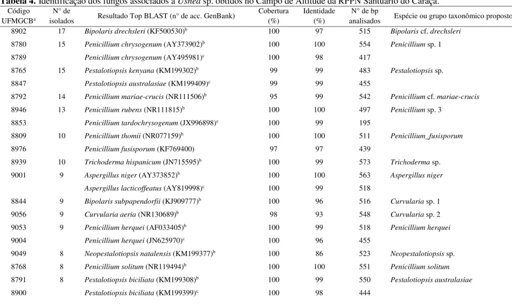 Tabela 4. Identificação dos fungos associados a Usnea sp. obtidos no Campo de Altitude da RPPN Santuário do Caraça