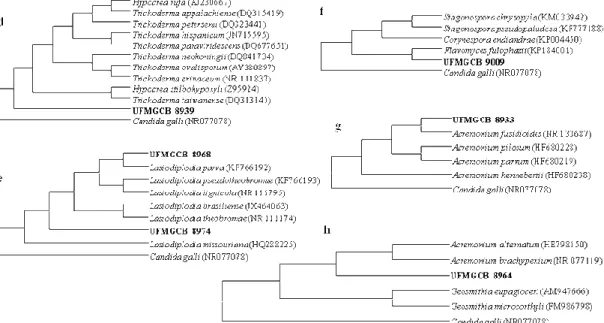 Figura 13. Árvores filogenéticas preparadas a partir da análise de sequências da região 