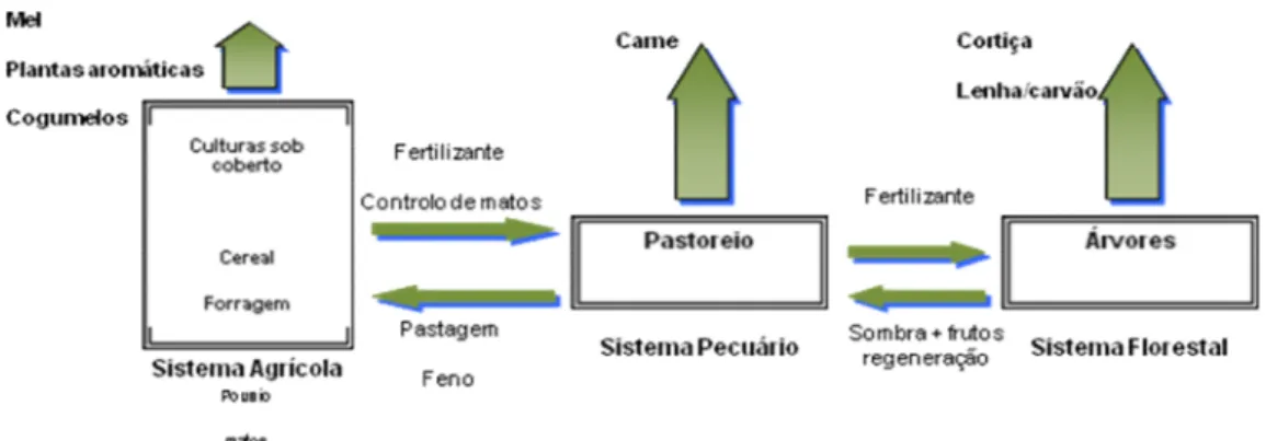 Figura 1- Esquema de multifuncionalidade dos montados de azinho e sobro com identificação dos principais sistemas de exploração e respectivos produtos