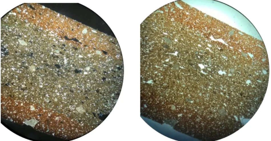 Fig. 20 optical microscope image of sample KJ.15.TA7/3 (mag 2.5x) at crossed polarized light  (left) and at plane polarize light (right)