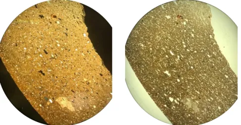 Fig.  21  optical  microscope  image  of  sample  KJ.16.TC5.1/2  (mag  2.5x)  at  crossed  polarized  light (left) and at plane polarize light (right)