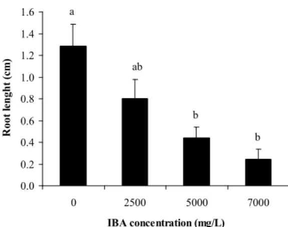 Fig. 3.  Survival of stem cuttings from Prunus azorica,  after eight weeks, with different IBA concentrations  (0-7000 mg/L)