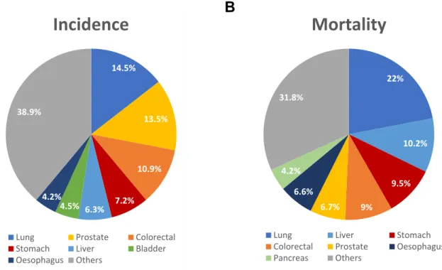 Figure  4.  Estimated  percentage  of  cancer-related  incidence  (A)  and  mortality  (B)  in  males,  worldwide, in 2018