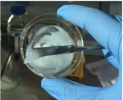 Figure II.1 – Mixing process of the bioink formulation.  
