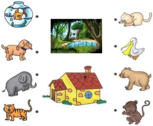 Figura 7: Animais dom´esticos versus animais selvagens.