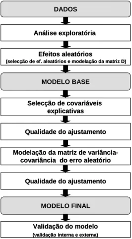 Figura 3.2 – Principais passos na construção e validação de um modelo 
