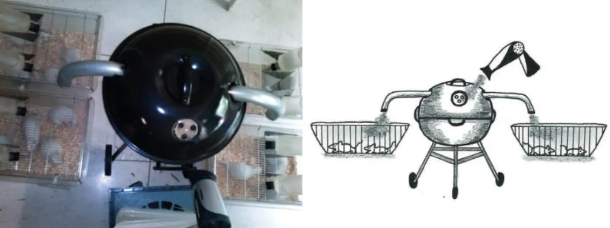 Figure 1. Photograph (in A) and schematic (in B) of the combustion chamber.