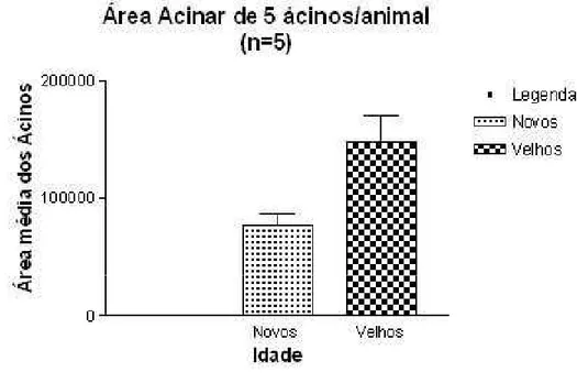 Gráfico  1  -  Comparação  dos  dois  grupos  de  Hamsters,  jovens  e  adultos  quanto  ao  diâmetro médio dos ácinos da próstata 