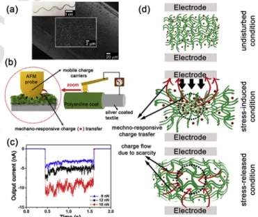 Fig. 1. Localized study of mechano-responsive charge transfer mechanism (MRCTM) on d-PANi functionalized textile fiber (f-CTF)