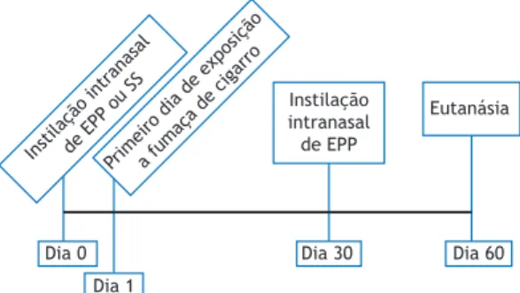 Figura 1.  Cronologia  do  protocolo  experimental.  EPP: 