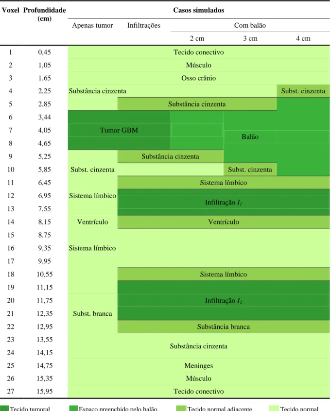 Tabela  3  –  Voxels  avaliados,  tecidos  representativos  correspondentes  e  definição  de  nomenclatura,  quanto  ao  tipo de tecido, para os casos simulados