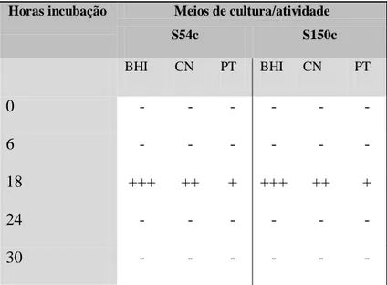 Tabela  7 –  Atividade  antibacteriana do sobrenadante dos  isolados S54c e S150c, para  os diferentes meios de cultura e tempos de incubação