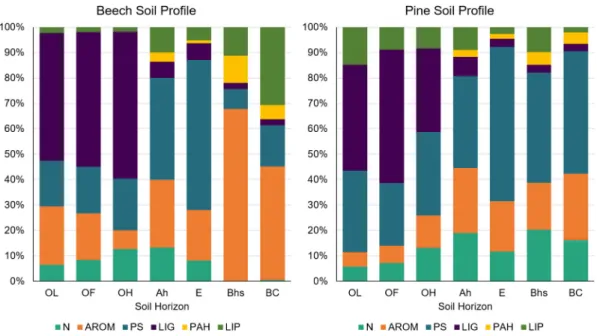 Fig. 3. Relative abundance of the main families of compounds released by Py-GC/MS for each horizon and soil proﬁle: nitrogen compounds (N), aromatic compounds (AROM), polysaccharides (PS), lignin-derived products (LIG), polycyclic aromatic hydrocarbons (PA