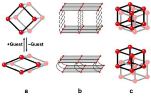 Figure  1.3.  Dynamic  behaviours  of  MOFs  when  interacting  with  guest  molecules:  (a)  1-dimension  (b)  2- 2-dimension (c) 3-2-dimension, where the red dots represent metal clusters and the black lines stand for the organic  ligands
