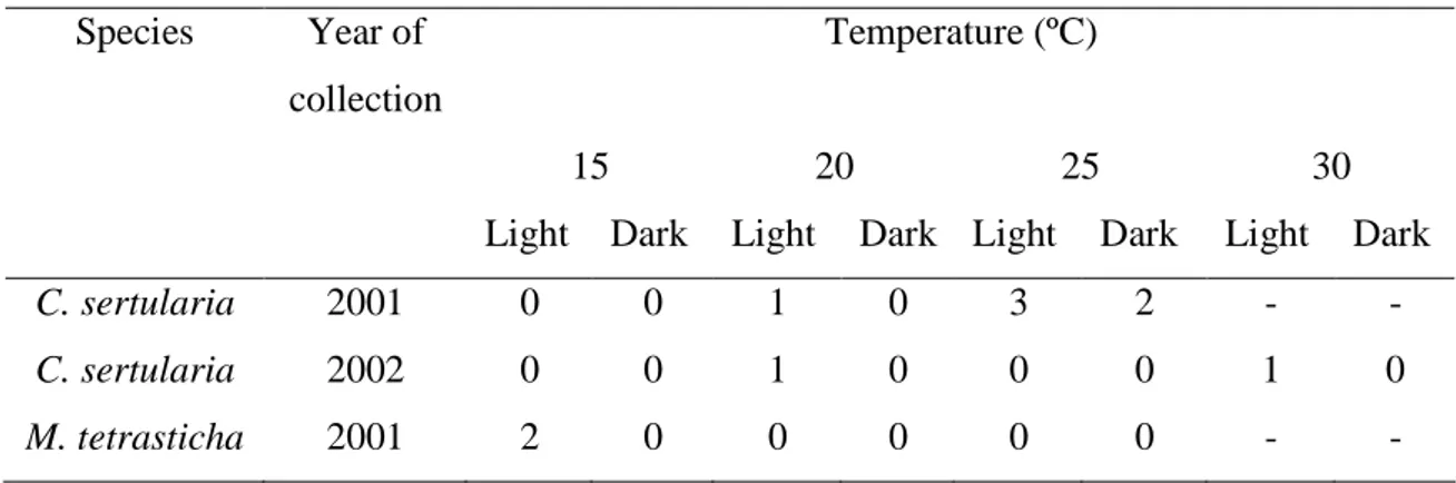 Table  2.  Germinability  (%)  of  Comolia  sertularia  and  Microlicia  tetrasticha  seeds  under  different light and temperature conditions