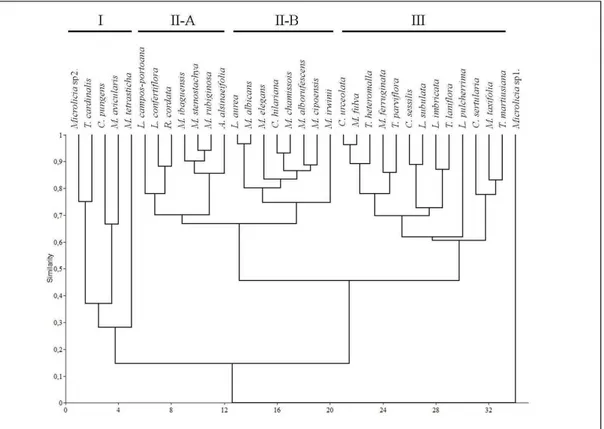 Figure  4.  Dendrogram  showing  the  relationship  among  34  species  of  Melastomataceae  based on seed germinability (percentage) under constant temperatures of 15, 20, 25, 30 and  35 o C