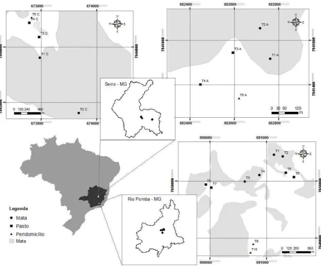 Figura 1. Localização dos municípios de Serro e Rio Pomba no estado de Minas Gerais e indicação das 