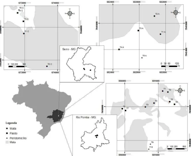 Figura 1. Localização dos municípios de Serro e Rio Pomba no estado de Minas Gerais e indicação das 
