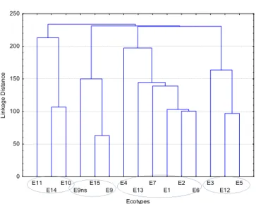 Fig. 3. Dendrogram obtained after Cluster analysis (Euclidean distance, single linkage) using the milk clotting properties evaluated for the ﬂower from the 15 C
