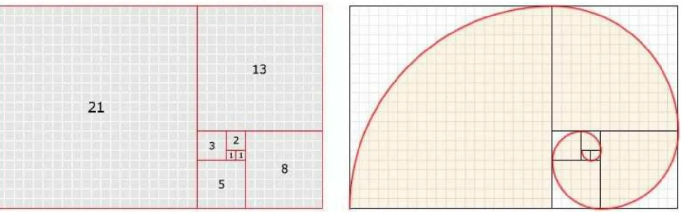 Figura 22 Ű Espiral de FIBONACCI