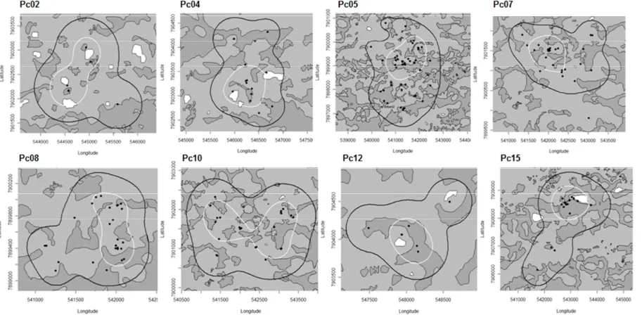 Fig. 1. Fixed Kernel estimates of 95% home range (black line) and 50% home range (white line) for crab-eating raccoons (Procyon cancrivorus;