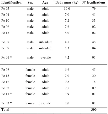 Tab.  1. Sex,  age,  body  mass,  and  number  of  localizations  of  crab-eating  raccoon